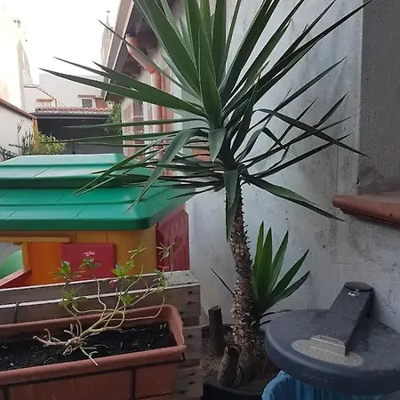 Apartment Family P3 Palermo